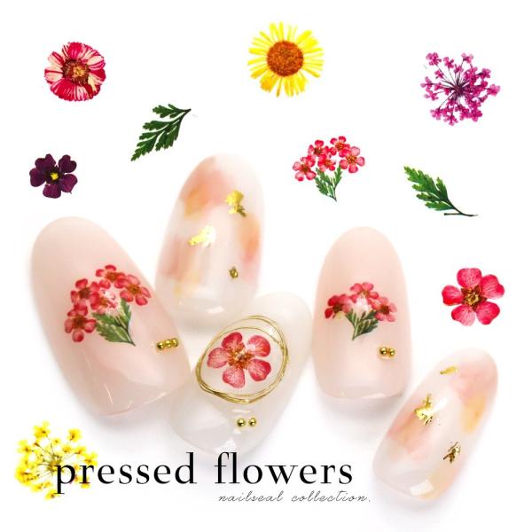 30OFFN[|zzIubNtCf[ EH[^[lCV[[^Cv]ԕV[ [YZW-3071/3072/3073]ZtlC