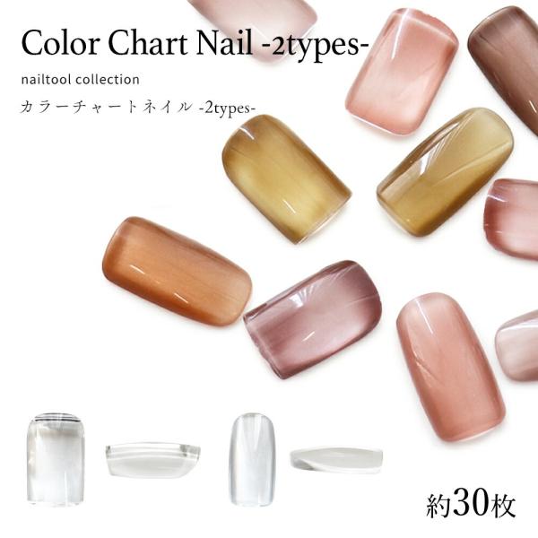 [Release date: September 4, 2025]【特徴】ジェルの試し塗りやカラー見本として2種類の爪型カラーチャートフラットな面にジェルを塗布できて簡単でキレイな仕上がり沢山飾っても重くならないプラスチック製【サイズ/入数...