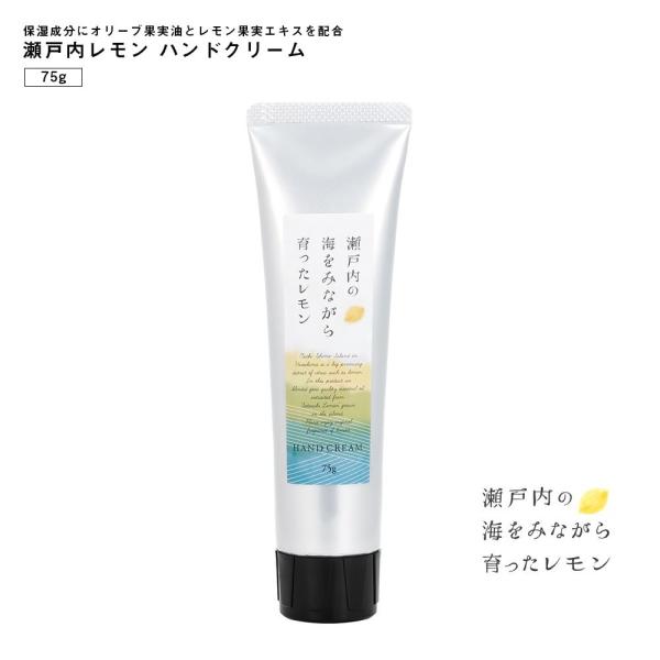 [z֌] ˓ nhN[ 75g ZtlC Mtg ̓