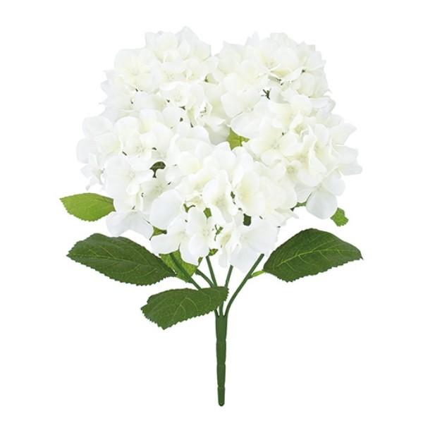 sG}t     ʃAWTCubV *5 zCg  FLB8081WHHI   ubV  A[gt[ G}