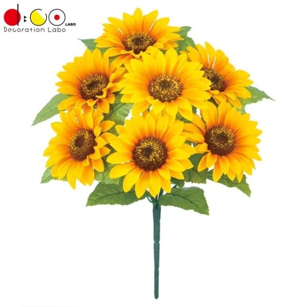 q}ubV*7 FLB8127  Ђ܂ q}   ubV  A[gt[