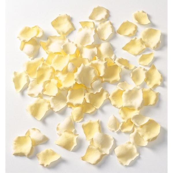 [Yy^ POO/pbN  CgCG[  FLE7013LTYL  [Yy^ Ԑ  Ԃт o  t[V[