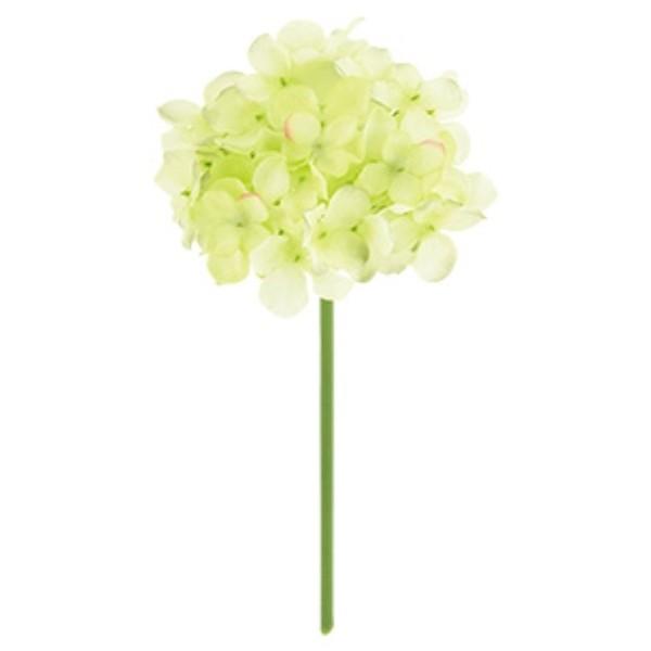 t@CAWTCsbN CO[  FLP6013LIME  t@CAWTC  AWTC z  sbN A[gt[ AW