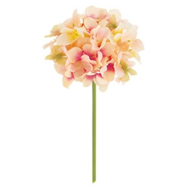 t@CAWTCsbN s[`  FLP6013PC  t@CAWTC  AWTC z  sbN A[gt[ AW