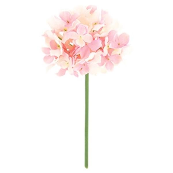 sG}tt@CAWTCsbN sN  FLP6013PKHI   sbN A[gt[ AW G}