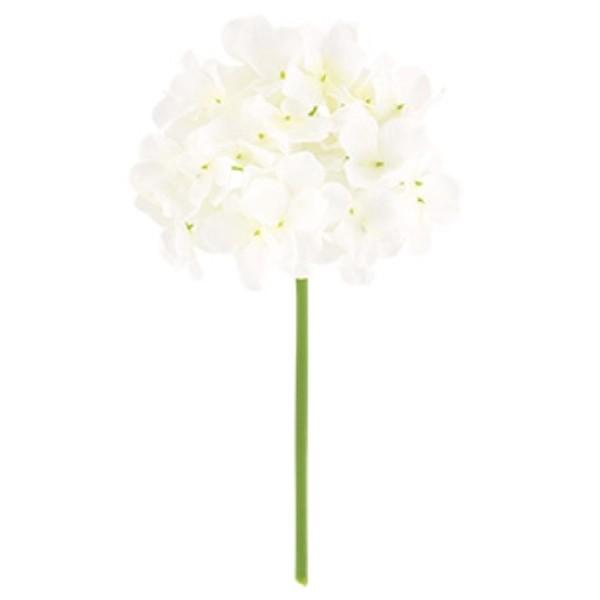 t@CAWTCsbN zCg  FLP6013WH  t@CAWTC  AWTC z  sbN A[gt[ AW