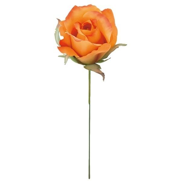 ~VF[YsbN IW  FLP6014OR  ~VF[Y [Y o KN ΂  sbN A[gt[ AW