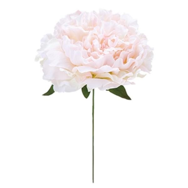 GUxXsIj[sbN \tgsN  FLP6016SOPK  GUxXsIj[ 䉖 ЂႭ₭ {^ ڂ sIj[  sbN A[gt[ AW