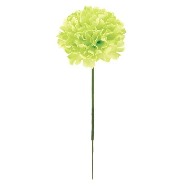 J[l[VsbN CO[  FLP6019LIME  J[l[VsbN J[l[V ̓  sbN A[gt[ AW