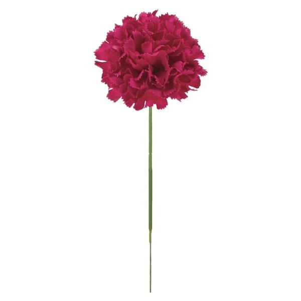 J[l[VsbN }x[  FLP6019MUL  J[l[VsbN J[l[V ̓  sbN A[gt[ AW