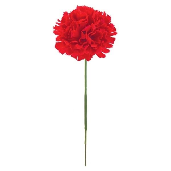 J[l[VsbN bh  FLP6019RD  J[l[VsbN J[l[V ̓  sbN A[gt[ AW