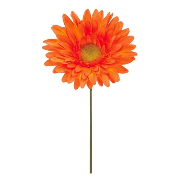 K[xsbN IW  FLP6020OR  K[x K[xsbN  sbN A[gt[ AW