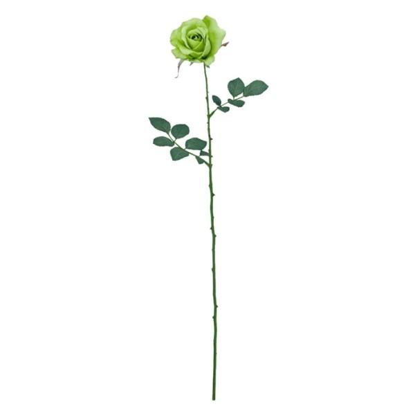 �~�V�F�����[�Y �t���b�V���O���[�� FLS0713FRGR �~�V�F�����[�Y ���[�Y �o�� �K�N �΂� ���� �A�[�g�t�����[ �X�v���C