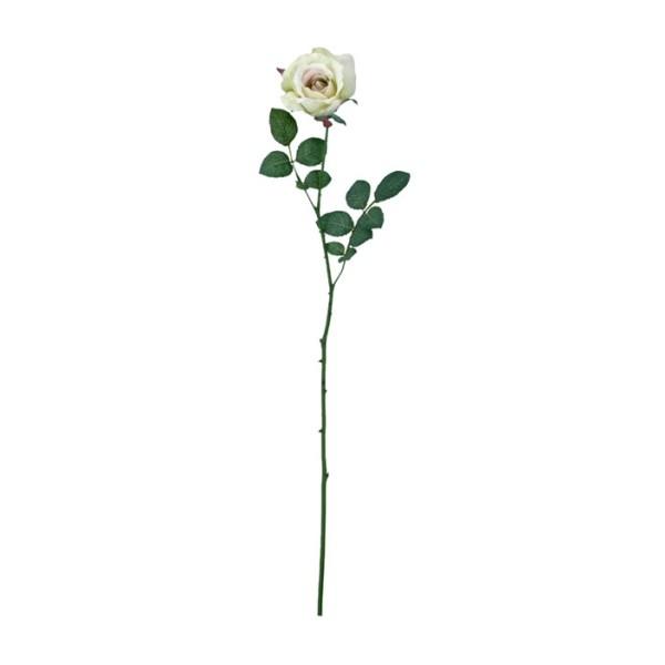 �s���G�}�t�~�V�F�����[�Y ���C���O���[�� FLS0713LIMEHI ���� �A�[�g�t�����[ �X�v���C ���G�}