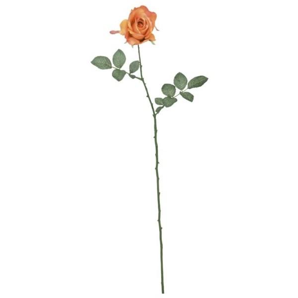 �s���G�}�t�~�V�F�����[�Y �I�����W FLS0713ORHI ���� �A�[�g�t�����[ �X�v���C ���G�}