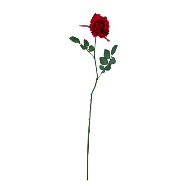 �s���G�}�t�~�V�F�����[�Y �v���~�A�����b�h FLS0713PRRDHI ���� �A�[�g�t�����[ �X�v���C ���G�}