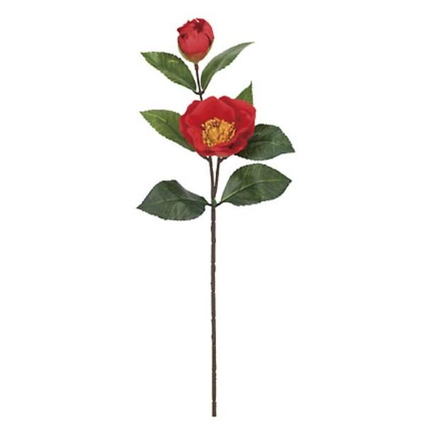 v~AփXvC *2 FLS5211   A[gt[ XvC