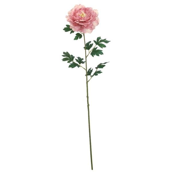 [WsIj[ AeB[Nx_[  FLS5310ANLV  [WsIj[ sIj[ 䉖 ЂႭ₭ {^ ڂ  A[gt[ XvC