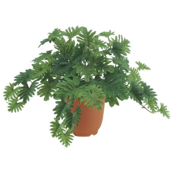 Z[ubV *6s|bgʔt LEB8103  tFCNO[ [t ubV  lHϗtA Z[ubV Z[