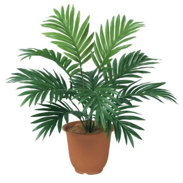 光触媒 人工観葉植物 ウォールグリーン フェイクグリーン アレカパーム