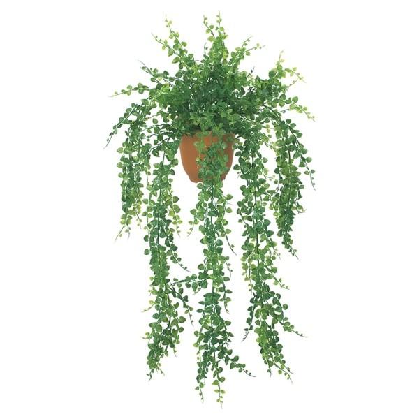 sG}tAWA^nMOubV vX`bN s|bg   ͕ʔłt LEB8122HI  tFCNO[ [t ubV  lHϗtA G}