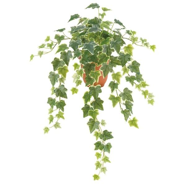 Decorationlabo leb8209grwh