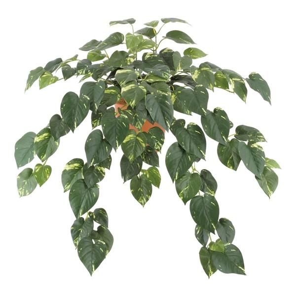 sG}t RH nMO|gXubVs|bgʔt LEB8308HI  tFCNO[ [t ubV  lHϗtA G}