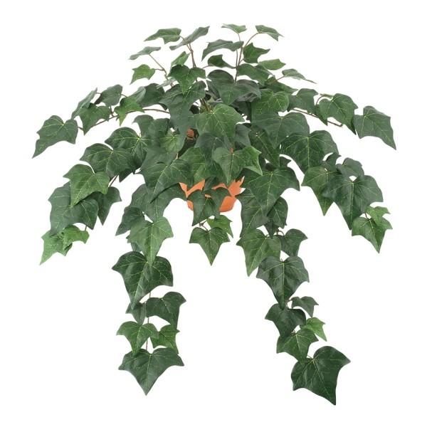 RH nMOACr[ubV ϗtA tFCNO[ s|bg e ͕ʔłt