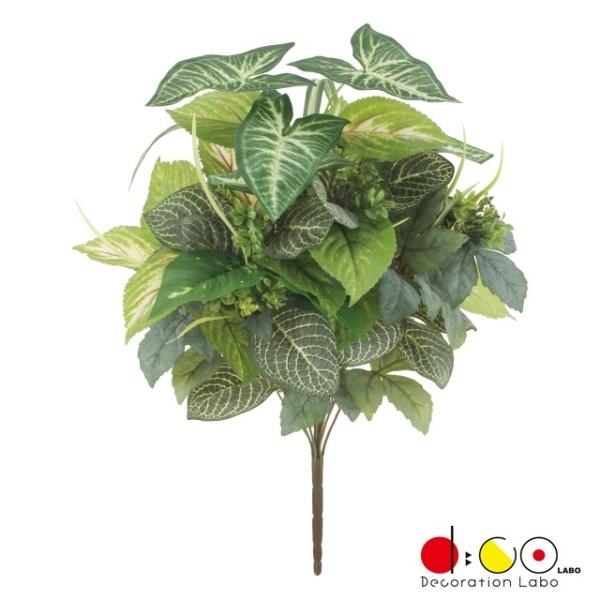 �s���G�}�t�t�B�g�j�A�R���E�X�A�\�[�g�u�b�V��*10 LEB8352 �t�B�g�j�A �R���E�X ���[�t �t�F�C�N�O���[�� �u�b�V�� �� �l�H�ϗt�A�� ���G�}