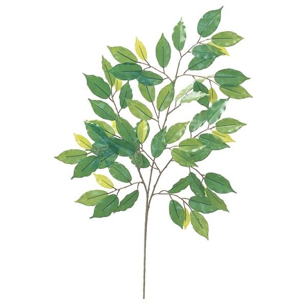 tBJX xW~ XvC *64 LES0636  tFCNO[ [t XvC lHϗtA nCAtBJXXvC tBJX xW~