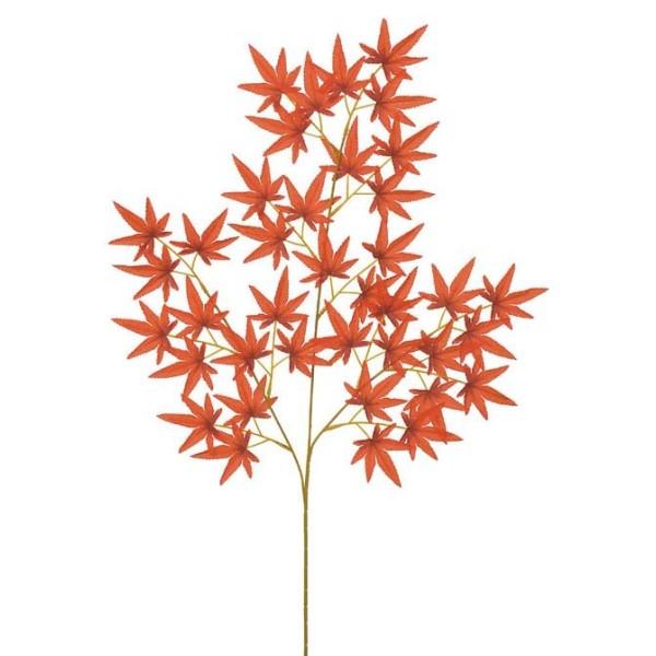 ~WXvC bh  LES0679RD  tFCNO[ [t XvC lHϗtA ~WXvC ݂ gt ~W gt̑ H