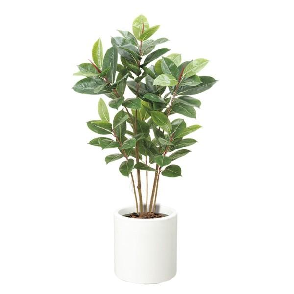 y@llz 120cmS̖؁s|bgʔt LET2061SGL17  tFCNO[ [t c[ lHϗtA S̖ c[