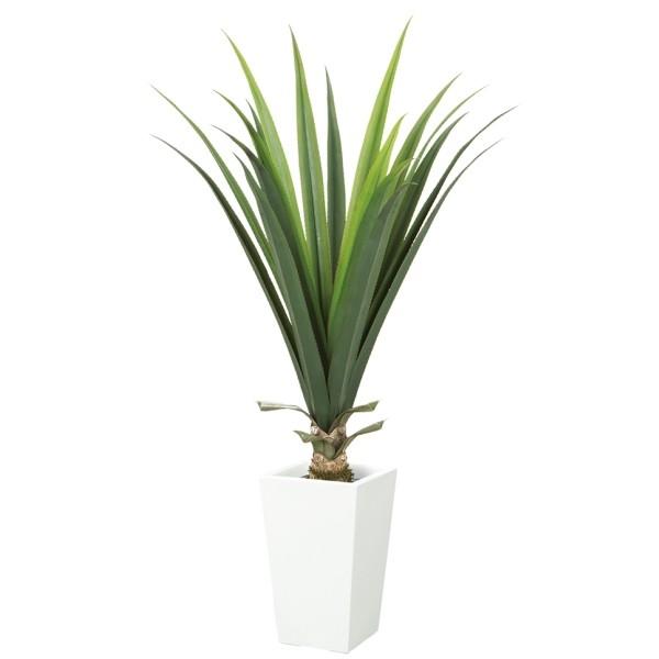 y@llz LVJAGvg S  *18 vX`bN  tFCNO[ lH  s|bg e ͕ʔłt