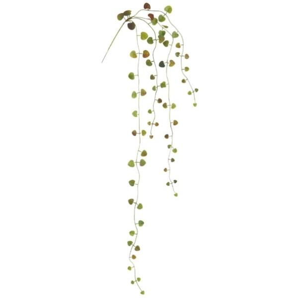 ハートカズラバイン *4 プラスチック グリーンブラウン 観葉植物 