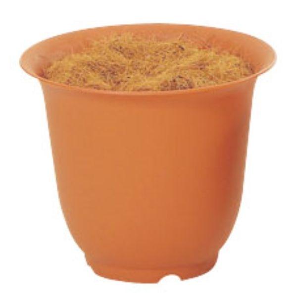 mA|bg 8 ê  uE  N0008  ԗp |bg  e IAVX mA|bg 8 uE 