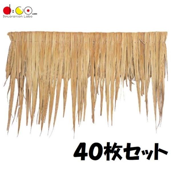 y@llz jbp[t/40Zbg ND0234   fBXvC  }fR[V gsJ 썑 r[`  {B̂ݔz