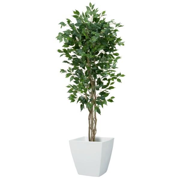 y@llz 150cmtBJX xW~ c[ S  CeAO[ VR؂ƑԂ̃R{I  s|bg e ͕ʔłt