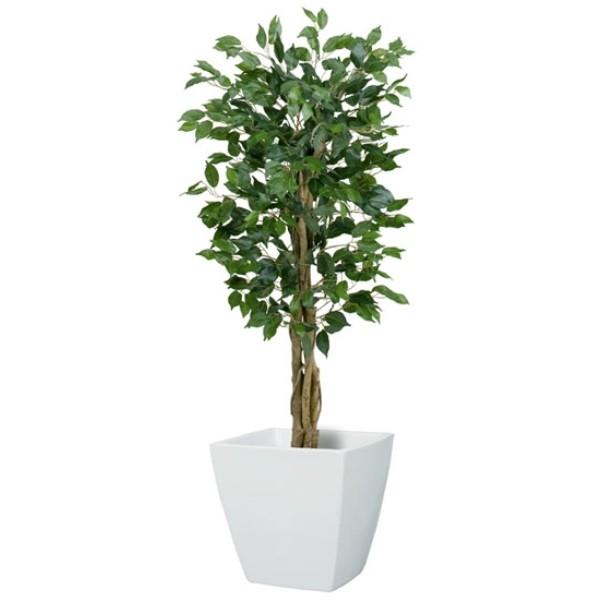 y@llz 120cmtBJXc[ SS  CeAO[ VR؂ƑԂ̃R{I  s|bg e ͕ʔłt