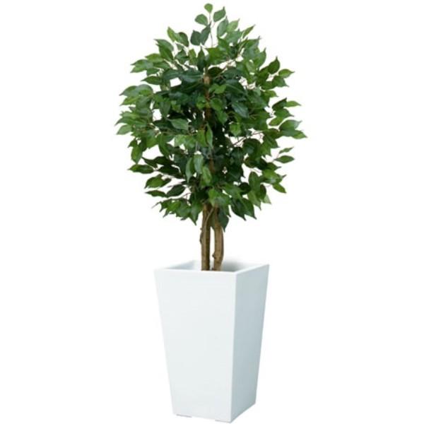 y@llz 90cmtBJX xW~ c[ XS  i`gN  CeAO[ VR؂ƑԂ̃R{I  s|bg e ͕ʔłt