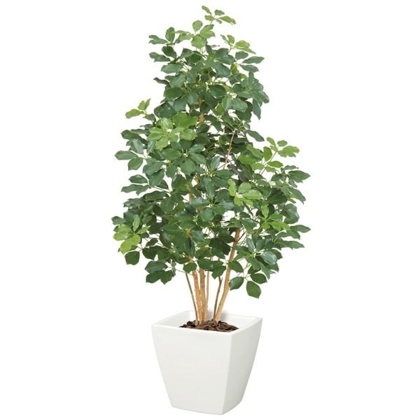 y@llz v~AJ|bNc[ M  i`gN  CeAO[ VR؂ƑԂ̃R{I  s|bg e ͕ʔłt