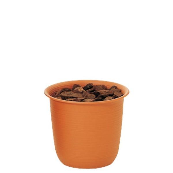 c[|bg 5 o[Nt  TP0005  ԗp |bg  e IAVX c[|bg 5 o[Nt uE 