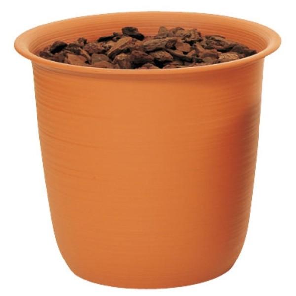 c[|bg 10 o[Nt  TP0010  ԗp |bg  e IAVX c[|bg 10 o[Nt uE 