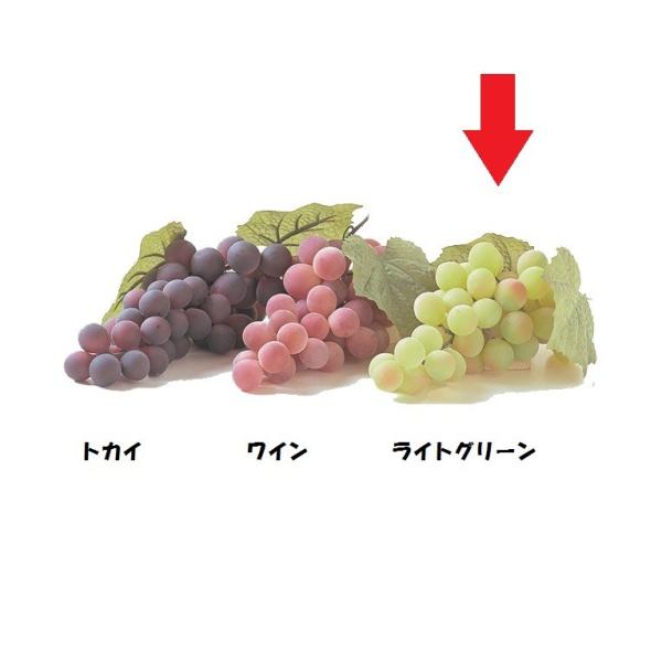 [O[v M  CgO[  VF0116MLTGR  HiTv tFCNt[h fBXvC t[c O[v Ԃǂ  uhE  [