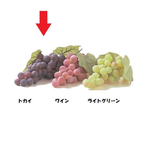 [O[v M  gJC  VF0116MTK  HiTv tFCNt[h fBXvC t[c O[v Ԃǂ  uhE  [