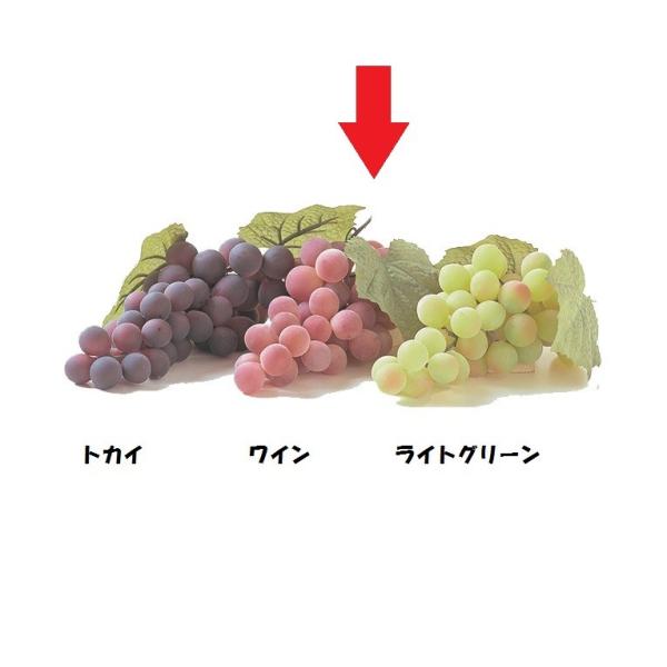 [O[v M  C  VF0116MWI  HiTv tFCNt[h fBXvC t[c O[v Ԃǂ  uhE  [