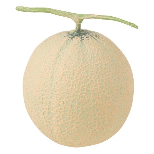 �A���f�X���������H�ׂ��܂��� VF1232  �H�i�T���v�� �t�F�C�N�t�[�h �f�B�X�v���C �t���[�c ������