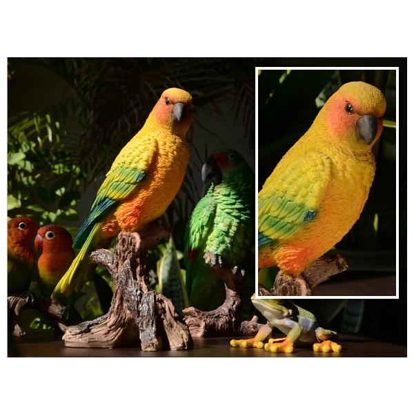 Sun Parakeet メキシコインコ 自然の造形が美しい鳥の置物 オブジェ 