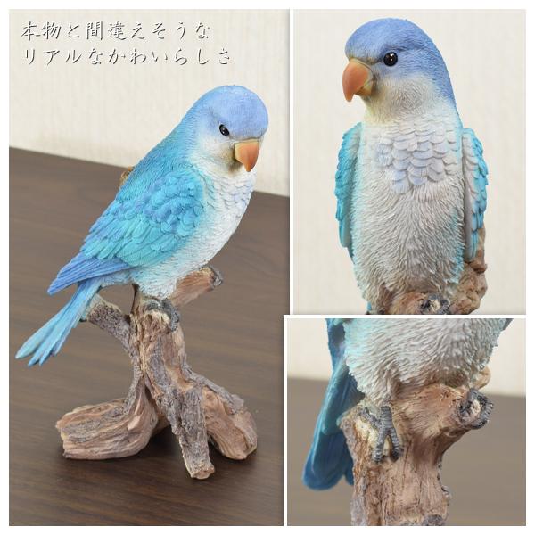 オキナインコ 造形が美しい鳥の置物 オウム 飾り 鳥 バード リアル