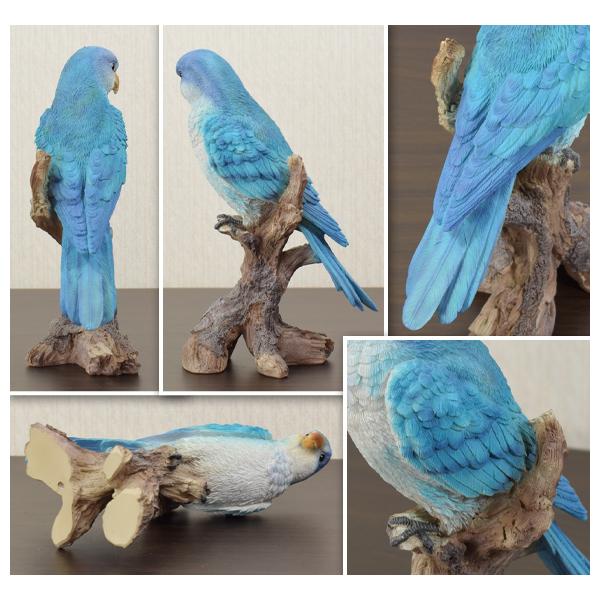 オキナインコ 造形が美しい鳥の置物 オウム 飾り 鳥 バード リアル