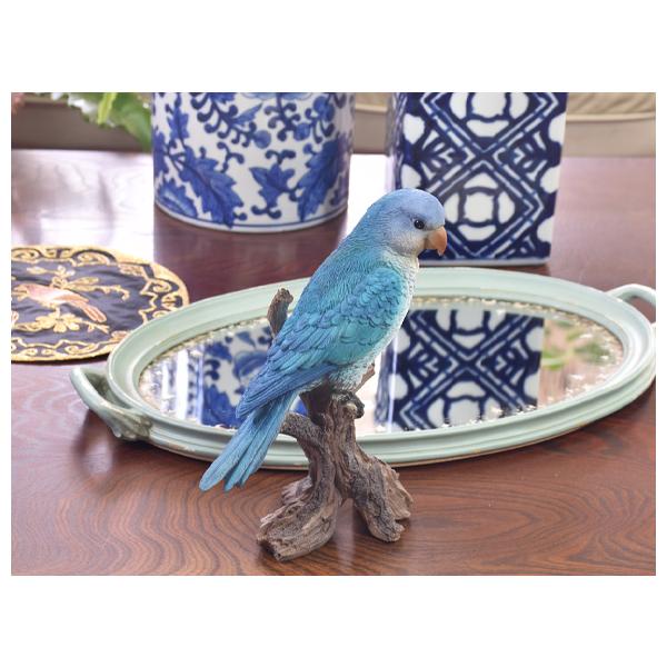 オキナインコ 造形が美しい鳥の置物 オウム 飾り 鳥 バード リアル